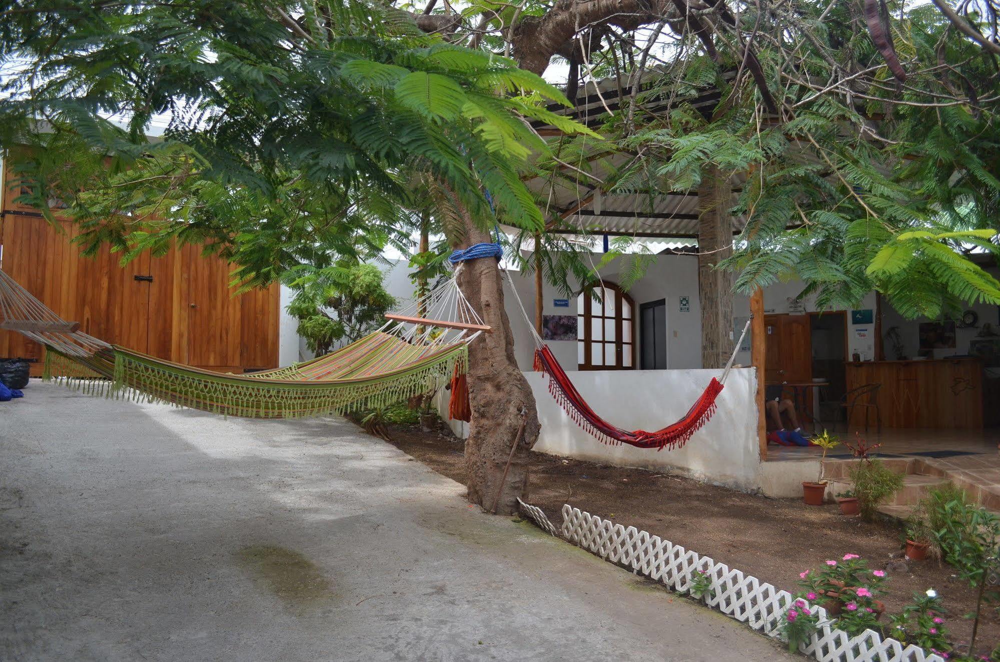 Hostal White House Galapagos Puerto Ayora  Kültér fotó